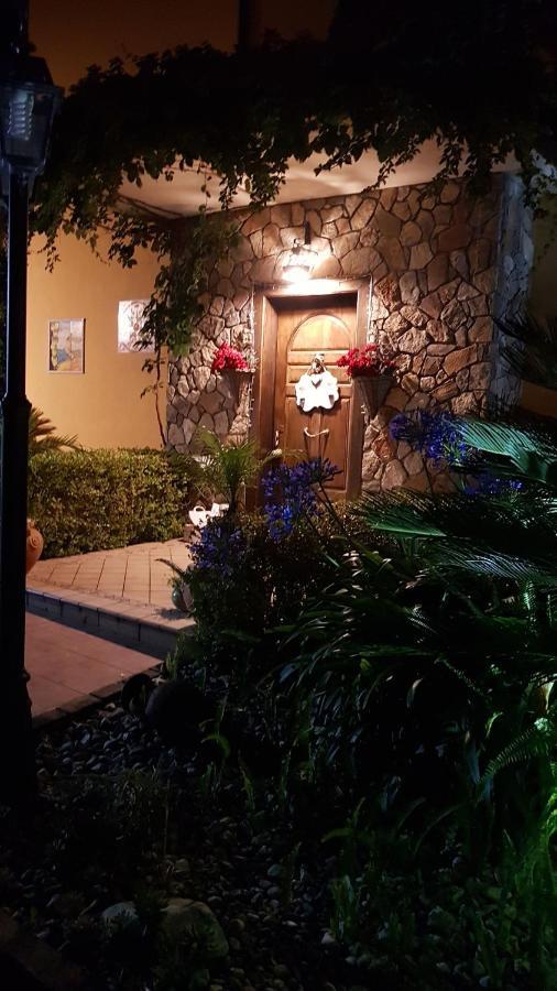 Villa Degli Ulivi Santa Maria Del Cedro Exterior foto